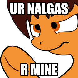 Size: 1700x1700 | Tagged: safe, oc, oc only, oc:maría teresa de los ponyos paguetti, reaction image, spanish