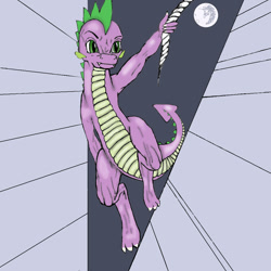 Size: 1000x1000 | Tagged: safe, spike, dragon, detailed background, lasso, male, solo