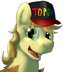 Size: 567x650 | Tagged: safe, artist:a2, braeburn, baseball cap, hat, meme, solo, top gun