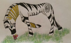 Size: 799x483 | Tagged: safe, artist:dawn22eagle, zecora, zebra, flower, solo, traditional art