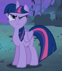 Size: 613x697 | Tagged: safe, screencap, twilight sparkle, twilight sparkle (alicorn), alicorn, pony, bats!, cropped, female, mare, solo