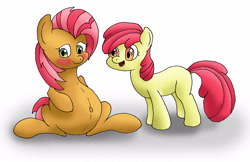 Size: 2599x1685 | Tagged: safe, artist:seenty, apple bloom, babs seed, belly, older, pregnant