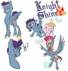 Size: 2909x3000 | Tagged: safe, artist:farewelldecency, oc, oc only, oc:flambé, oc:knight shine, guard, offspring, parent:flash sentry, parent:sunset shimmer, parent:twilight sparkle, parents:flashimmer, parents:flashlight, parents:flashlightshimmer, reference sheet, transgender