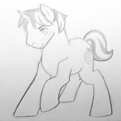 Size: 1024x1024 | Tagged: safe, artist:kianamai, oc, oc only, oc:golden delicious, pony, unicorn, kilalaverse, monochrome, next generation, offspring, parent:applejack, parent:caramel, parents:carajack, pencil drawing, species swap, traditional art