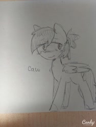 Size: 960x1280 | Tagged: artist needed, safe, oc, oc only, oc:raven, bird pone, crow, pegasus, pony, blush sticker, blushing, caw, female, lidded eyes, looking at you, mare, monochrome, sketch, smiling, solo, traditional art, wing fluff