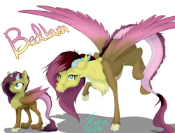 Size: 3354x2549 | Tagged: safe, artist:farewelldecency, oc, oc only, oc:bedlam, hybrid, interspecies offspring, next generation, offspring, parent:discord, parent:fluttershy, parents:discoshy, solo