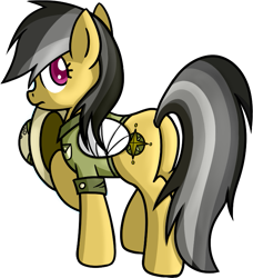 Size: 681x747 | Tagged: safe, artist:miketheuser, daring do, broken wing, plot, simple background, solo, transparent background