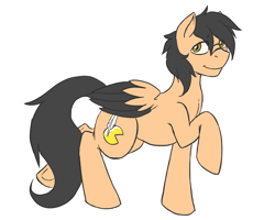 Size: 1000x800 | Tagged: safe, artist:pitchpatch, oc, oc only, oc:playbitz, pegasus, pony