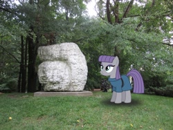 Size: 864x648 | Tagged: safe, artist:masem, artist:thedoubledeuced, maud pie, happy, irl, photo, ponies in real life, rock, sculpture, solo, vector