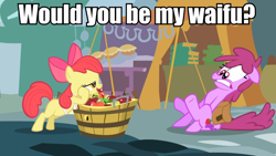 Size: 960x540 | Tagged: safe, screencap, apple bloom, berry punch, berryshine, image macro, meme, waifu