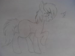 Size: 2048x1536 | Tagged: safe, artist:drawponies, oc, oc only, pony, drawing, monochrome, traditional art, unleashed