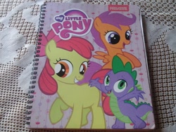 Size: 2048x1536 | Tagged: safe, apple bloom, scootaloo, spike, dragon, cutie mark crusaders, notebook