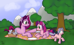 Size: 2868x1761 | Tagged: safe, artist:rapidstrike, artist:saine grey, oc, oc only, oc:gloomy, oc:junior, oc:marker pony, collaboration, /mlp/, boop, mlpgdraws, picnic, picnic basket