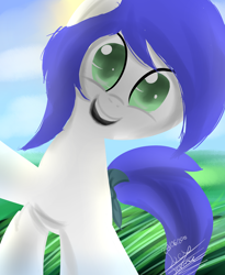 Size: 1800x2200 | Tagged: safe, artist:scarlett-letter, oc, oc only, earth pony, pony, grass, grass field, happy, smiling, sun