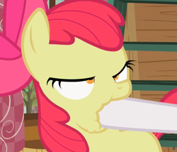 Size: 859x737 | Tagged: safe, screencap, apple bloom, sweetie belle, pony, family appreciation day, cropped, derp, female, filly, hoof in mouth, lidded eyes, out of context, solo focus