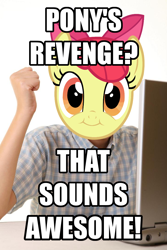 Size: 728x1092 | Tagged: safe, apple bloom, exploitable meme, first day brony, meme, this will end in tears