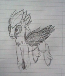 Size: 415x485 | Tagged: safe, bird pone, monochrome, ponified, solo, traditional art, vulture