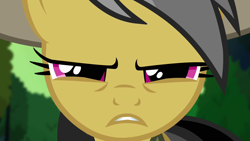 Size: 1280x720 | Tagged: safe, screencap, daring do, daring don't, archaeologist, close-up, clothes, daring dorable, explorer, frown, looking at you, pith helmet, shirt, solo, squint, unhappy