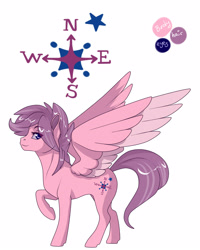 Size: 1280x1600 | Tagged: safe, artist:sugarcup, derpibooru import, north star (g1), pegasus, pony, g1, female, mare, solo