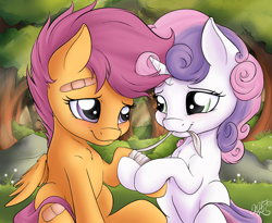 Size: 2500x2050 | Tagged: safe, artist:nobody47, scootaloo, sweetie belle, bandage, bandaid, blushing, chest fluff, cover art, fanfic, female, hoof hold, lesbian, mouth hold, scootabelle, scootalove, shipping, smiling