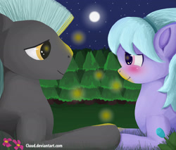 Size: 2733x2333 | Tagged: safe, artist:cluud, cloudchaser, thunderlane, firefly (insect), pegasus, pony, blushing, cloud, cute, female, flower, forest, holding hooves, love, male, mare, moon, night, shipping, stallion, stars, straight, thunderchaser, together forever