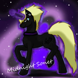 Size: 1000x1000 | Tagged: safe, artist:silverfangwrathwolf1, oc, oc only, oc:midnight sonet, solo