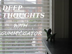 Size: 730x548 | Tagged: safe, gummy, slice of life (episode), deep thoughts, gummy the deep thinker, irl, monologue, photo, saturday night live, snl, toy, window, youtube link