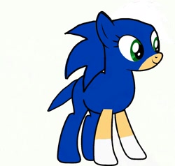 Size: 1280x1218 | Tagged: safe, artist:annafranka, derpibooru import, ponified, solo, sonic the hedgehog (series)