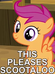 Size: 480x640 | Tagged: safe, edit, edited screencap, screencap, scootaloo, appleoosa's most wanted, caption, image macro, looking at you, pleased, reaction image, smiling, solo
