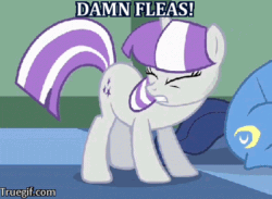 Size: 400x292 | Tagged: safe, edit, edited screencap, screencap, twilight velvet, the cutie mark chronicles, animated, cropped, eyes closed, fleas, gritted teeth, horses doing horse things, image macro, meme, shake, shaking, solo focus