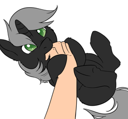 Size: 1800x1676 | Tagged: safe, artist:floots, oc, oc only, oc:blinky, pony, unicorn, fallout equestria, :t, behaving like a cat, bellyrubs, biting, butt fluff, cheek fluff, colored pupils, colt, cute, ear fluff, finger bite, fluffy, hand, hoof fluff, hoof hold, leg fluff, legs in air, male, nom, nose wrinkle, ocbetes, offscreen character, on back, petting, pov, simple background, smiling, solo focus, stallion, tickling, underhoof, white background