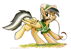 Size: 1000x695 | Tagged: safe, artist:spainfischer, daring do, clothes, signature, simple background, solo, whip
