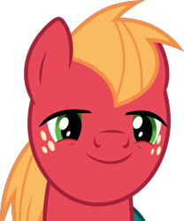 Size: 6000x7225 | Tagged: safe, artist:dasprid, big macintosh, earth pony, pony, filli vanilli, absurd resolution, face, male, simple background, solo, stallion, transparent background, vector