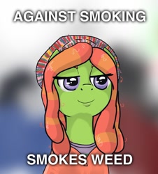 Size: 1248x1383 | Tagged: safe, artist:kill joy, tree hugger, make new friends but keep discord, image macro, marijuana, meme, solo, treehuggermeme