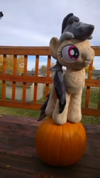 Size: 918x1632 | Tagged: safe, artist:zombies8mywaffle, daring do, cute, daring dorable, for sale, halloween, handmade, irl, photo, plush for sale, plushie, pumpkin