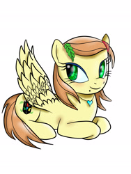 Size: 1536x2048 | Tagged: safe, pegasus, pony, bdm facebook, female, mare, solo, wings