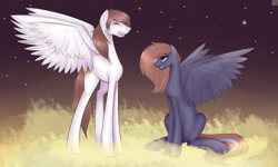 Size: 1024x614 | Tagged: safe, artist:noodlerain, oc, oc only, pegasus, pony