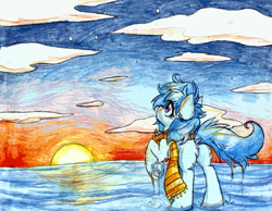 Size: 2176x1686 | Tagged: safe, artist:iroxykun, oc, oc only, oc:freckles, earth pony, pony, cloud, cloudy, female, horizon, mare, ocean, sky, sunset, water