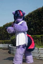 Size: 1024x1536 | Tagged: safe, artist:tashiroyu, twilight sparkle, human, clothes, cosplay, costume, fursuit, irl, irl human, photo