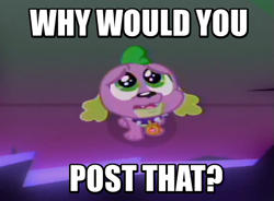 Size: 541x398 | Tagged: safe, screencap, spike, spike the regular dog, dog, equestria girls, friendship games, cute, image macro, meme, puppy dog eyes, reaction image, solo, why would you post that