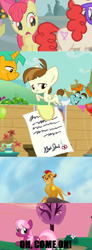 Size: 640x1744 | Tagged: safe, apple bloom, babs seed, cheerilee, featherweight, snails, snips, sweetie belle, twist, big cat, earth pony, lion, pony, unicorn, bush, bushicorn, colt, cutie mark, female, filly, image macro, impact font, kion, letter, male, mare, meme, oh come on, raised hoof, text, the lion guard, the lion king