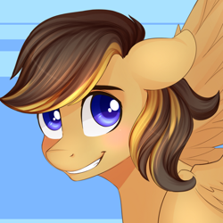 Size: 900x900 | Tagged: safe, oc, oc only, pegasus, pony, bust, floppy ears, portrait, smiling, solo