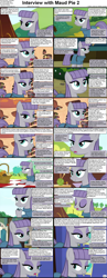 Size: 1282x3304 | Tagged: safe, maud pie, earth pony, pony, comic:celestia's servant interview, caption, comic, cs captions, female, interview, mare, solo