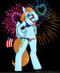 Size: 536x650 | Tagged: safe, artist:bunnycat, oc, oc only, oc:bunny, anthro, unguligrade anthro, 4th of july, american flag, american flag bikini, american independence day, belly button, bikini, clothes, fireworks, flag bikini, freedom, independence day, murica, salute, sunglasses, swimsuit, tumblr blog, united states
