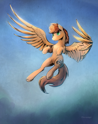 Size: 2000x2544 | Tagged: safe, artist:viwrastupr, oc, oc only, pegasus, pony, commission, solo, unshorn fetlocks