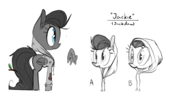 Size: 1199x692 | Tagged: safe, artist:chef j, oc, oc only, oc:jackie, bird pone, pegasus, pony, clothes, dirty, hoodie, jackdaw, solo, stick, sweater