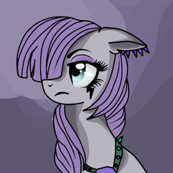 Size: 1024x1024 | Tagged: safe, artist:annaiszoom, maud pie, earth pony, pony, clothes, female, gray coat, mare, purple mane, solo