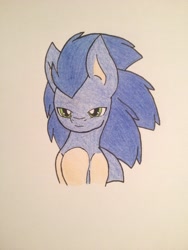 Size: 2448x3264 | Tagged: safe, artist:shadayloronic, pony, ponified, solo, sonic the hedgehog, sonic the hedgehog (series), traditional art