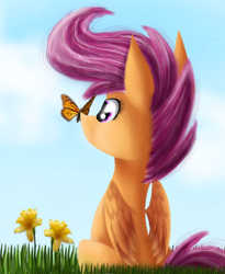 Size: 900x1100 | Tagged: safe, artist:chanceyb, scootaloo, butterfly, flower, solo