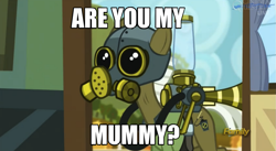 Size: 1261x689 | Tagged: safe, edit, edited screencap, screencap, max raid, earth pony, pony, bloom and gloom, cinemaquestria, cropped, doctor who, empty child, image macro, meme, pest control pony, reference, solo, the empty child